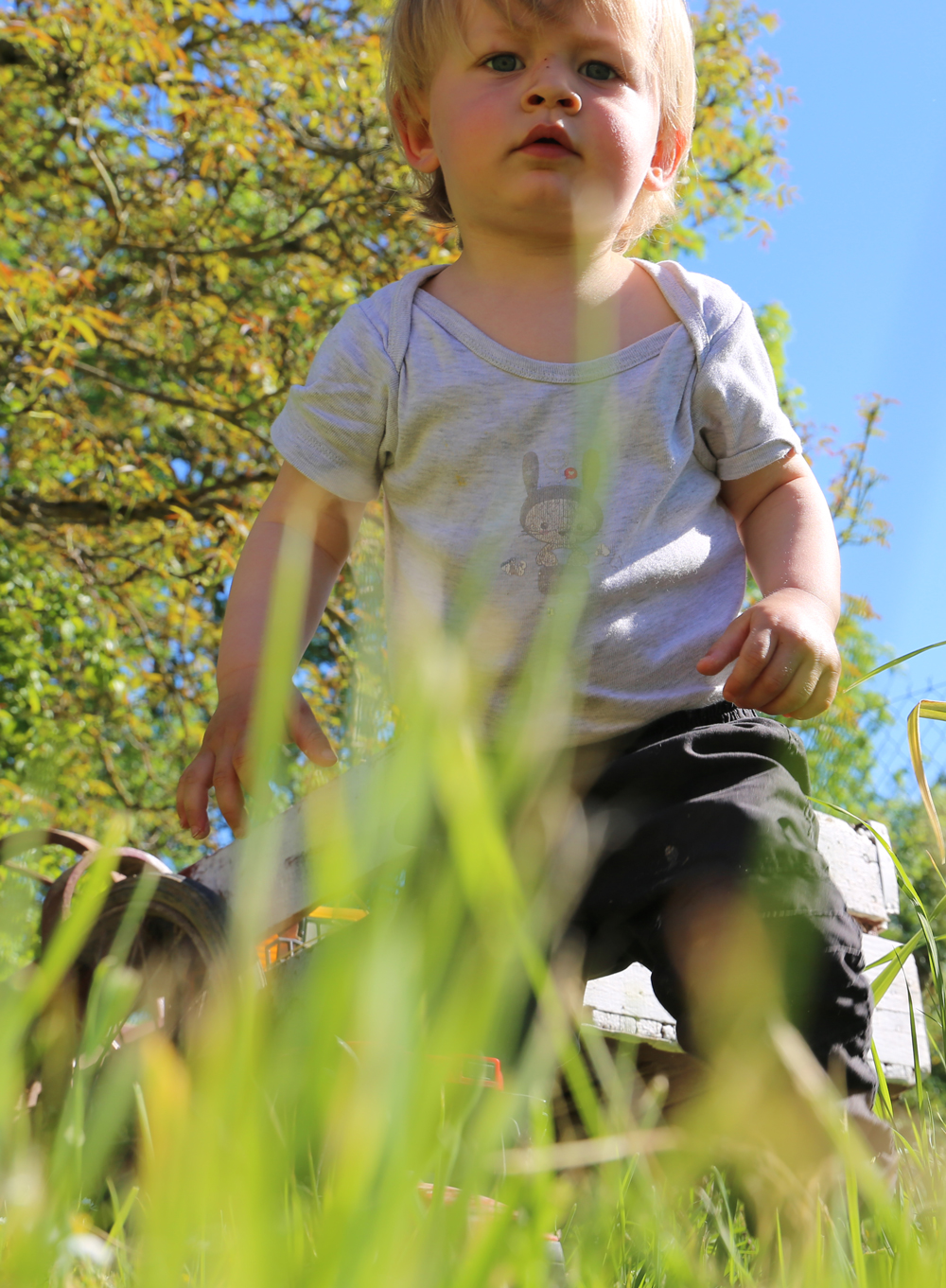 enfant perdu dans les herbes hautes de la bourgogne